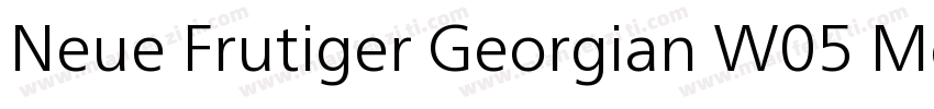 Neue Frutiger Georgian W05 Md字体转换